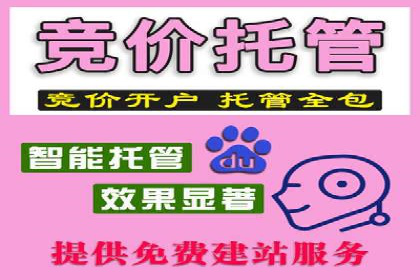 怎样做百度推广：成功案例分析与策略